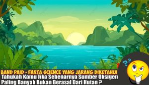 sumber oksigen bukan dari hutan ?  simak faktanya